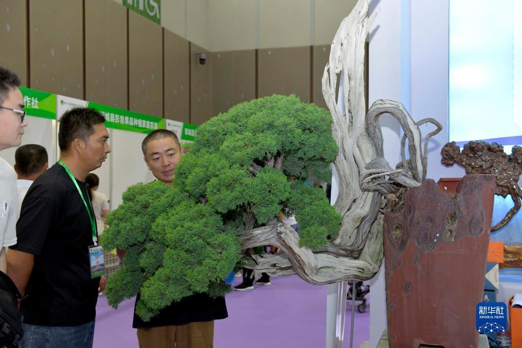 下载凯天娱乐